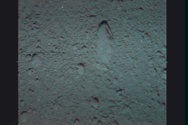 AS11-45-6698