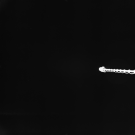 AS16-M-2055