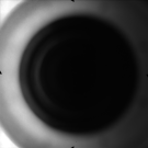 AS16-M-3443
