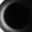 AS16-M-3448