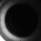 AS16-M-3456