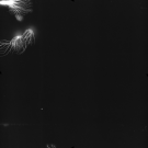 AS17-M-1296